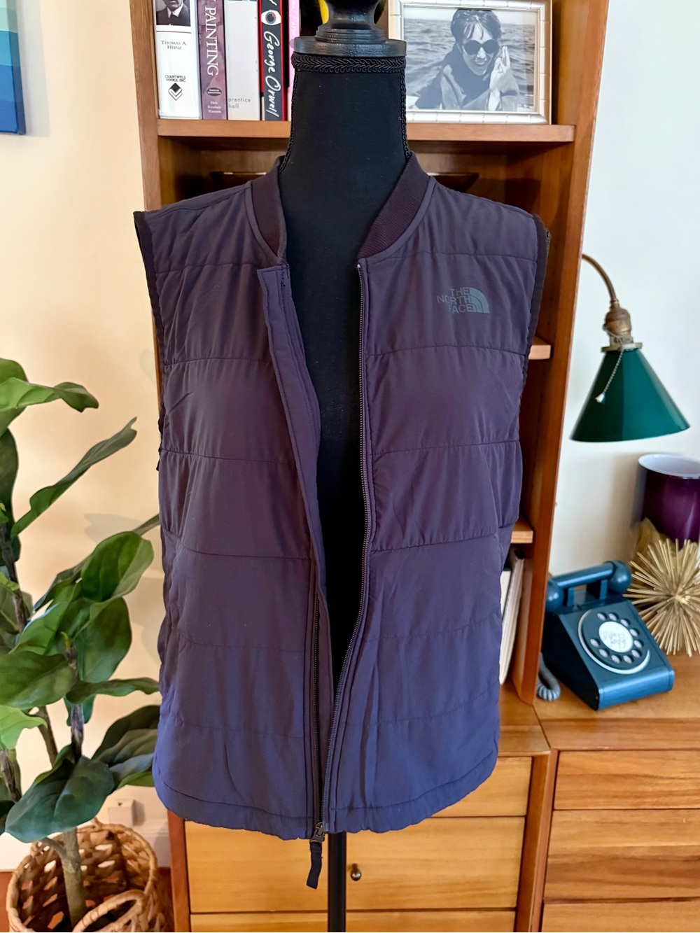 The North Face Women's Quilted Vest in Black